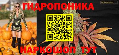 марихуана Камышлов