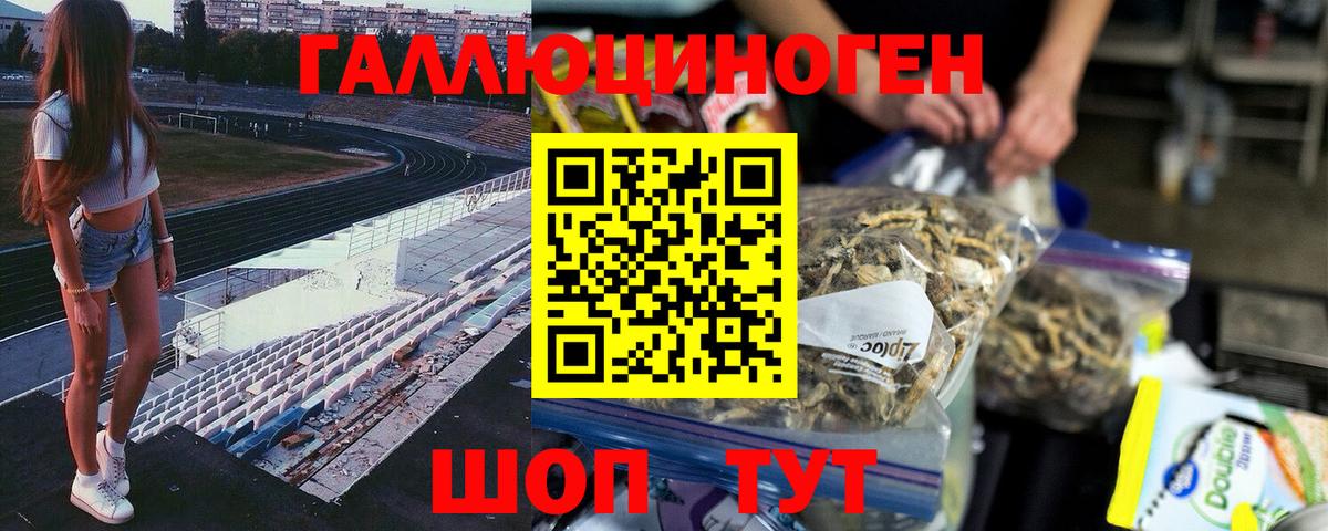 купить наркотик  Вход с VPN  Узловая  Псилоцибиновые грибы MAGIC MUSHROOMS 