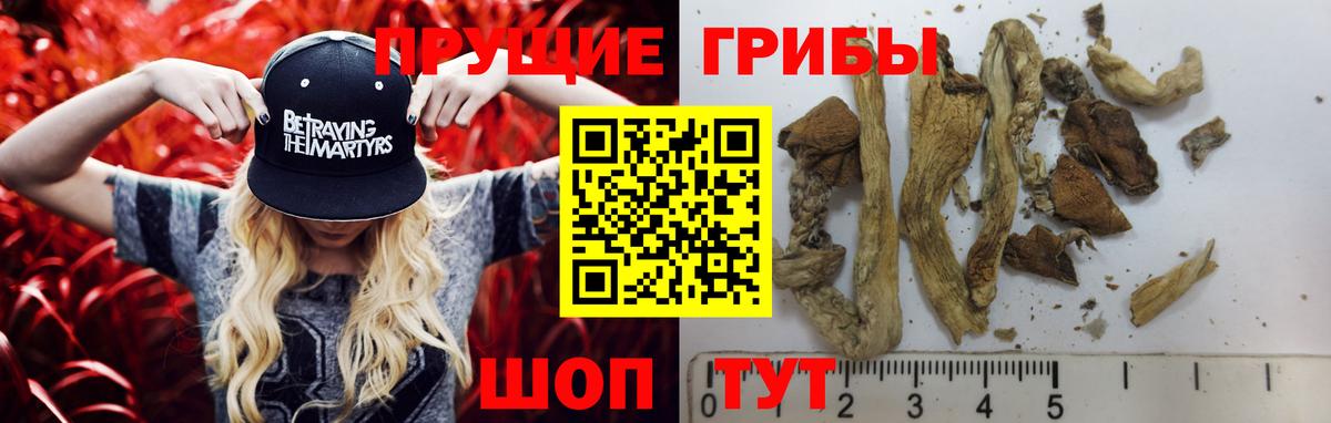 Галлюциногенные грибы Cubensis Узловая
